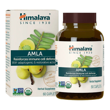 Organic Amla - My Village Green